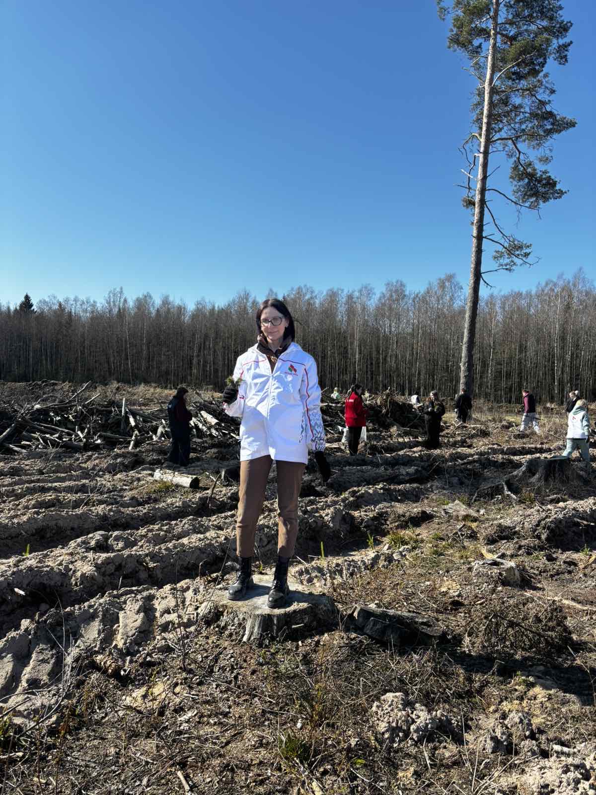 Традиционно к «Неделе леса»: сотрудники ИМНС по г. Новополоцку снова в числе участников экологической кампании