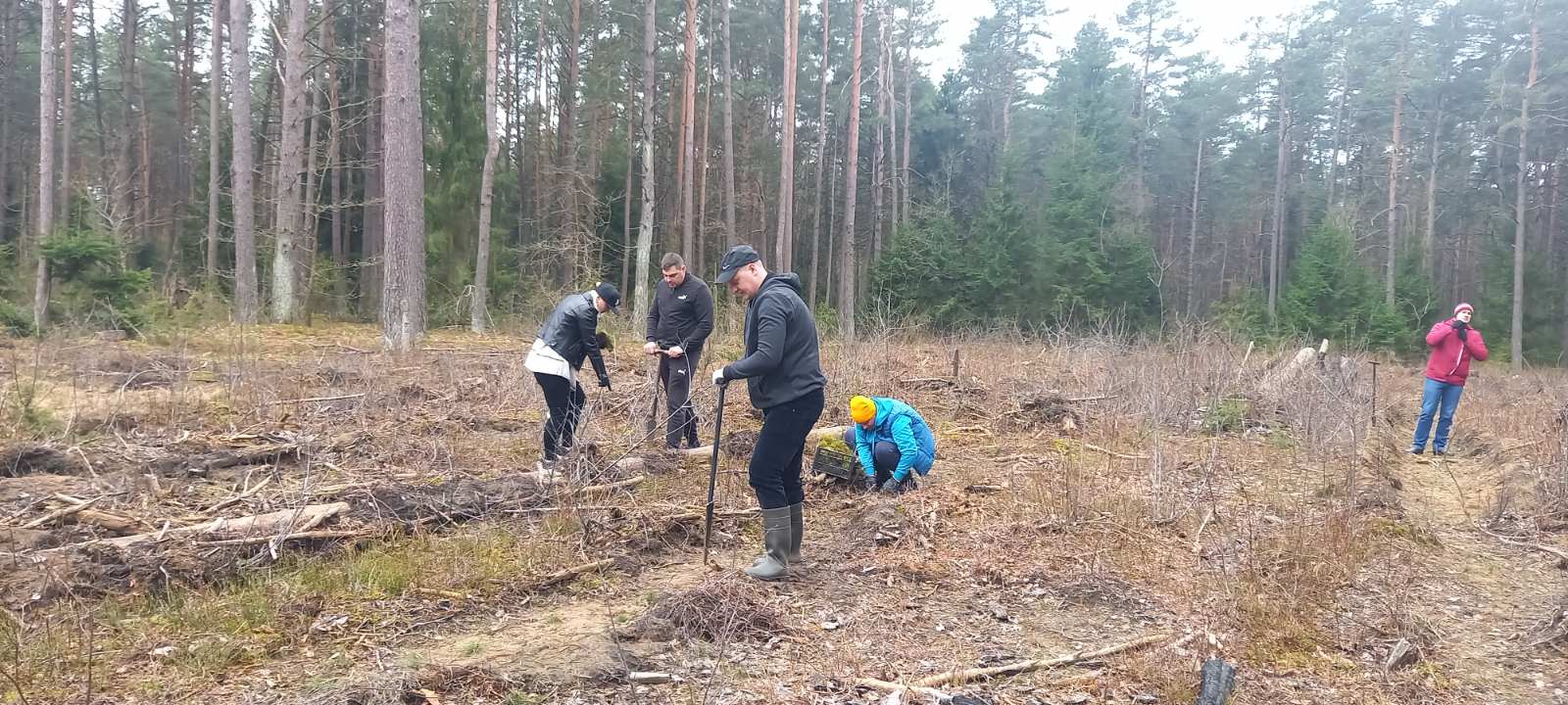 «Неделя леса» прошла в Барановичах