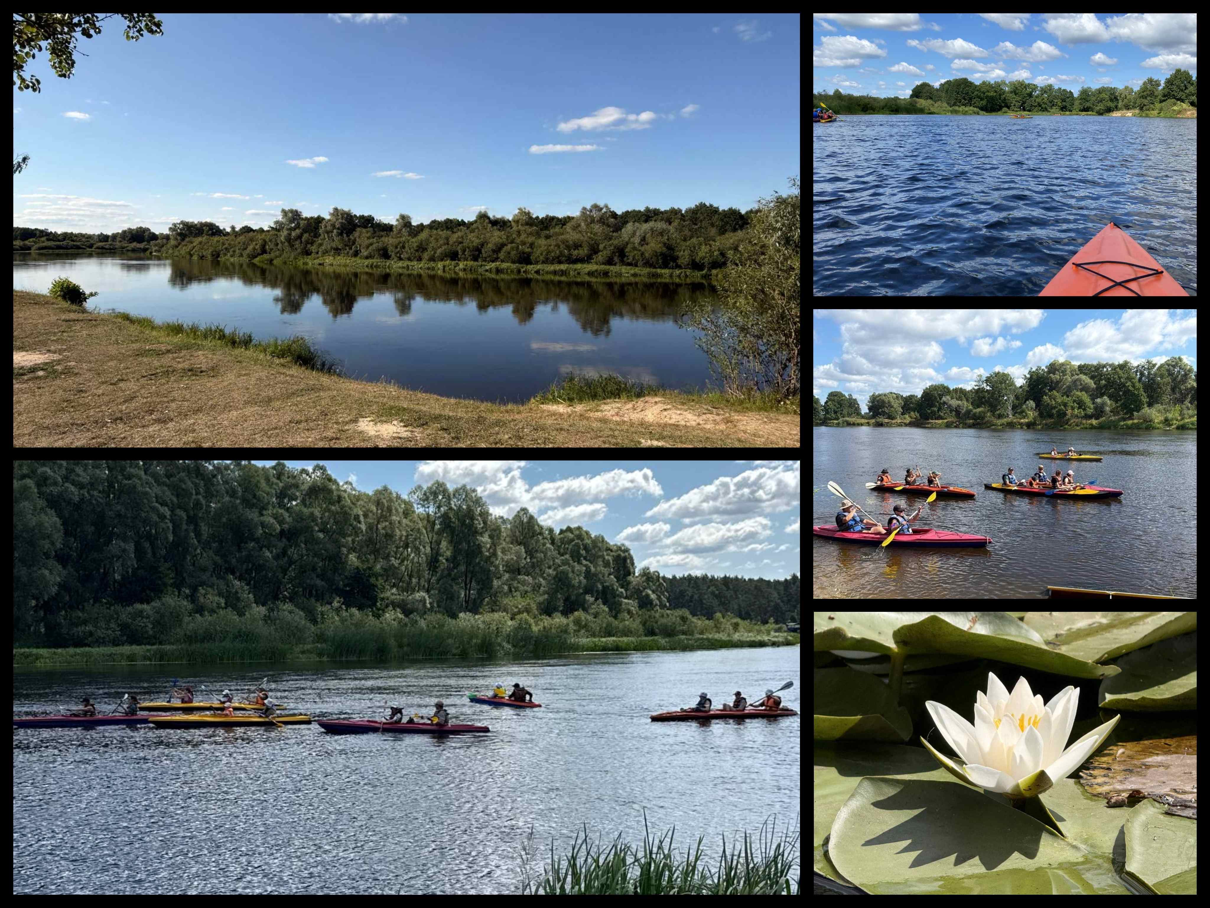 Collage_20260810_121753172.jpg