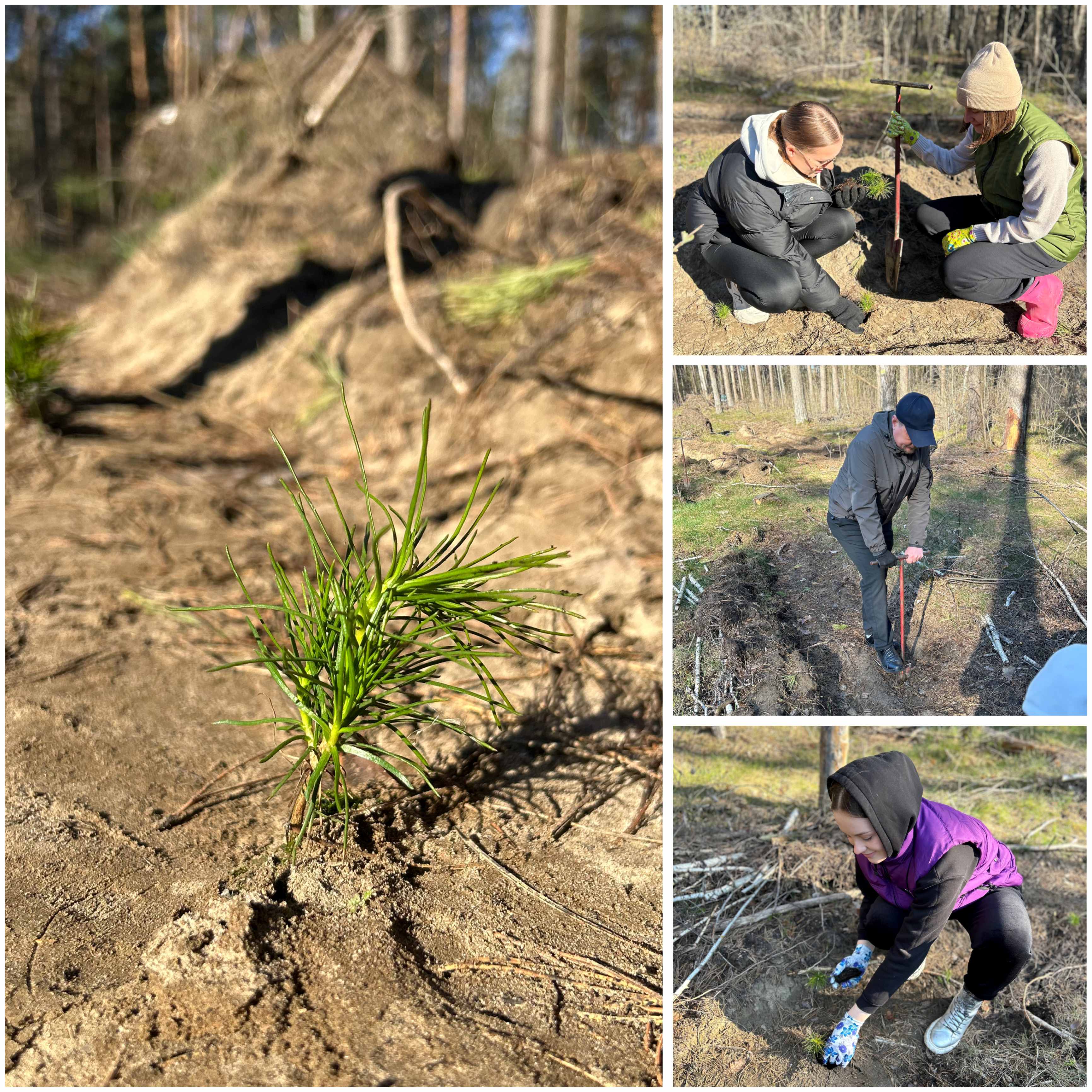 image-14-04-26-11-50 (1).jpg