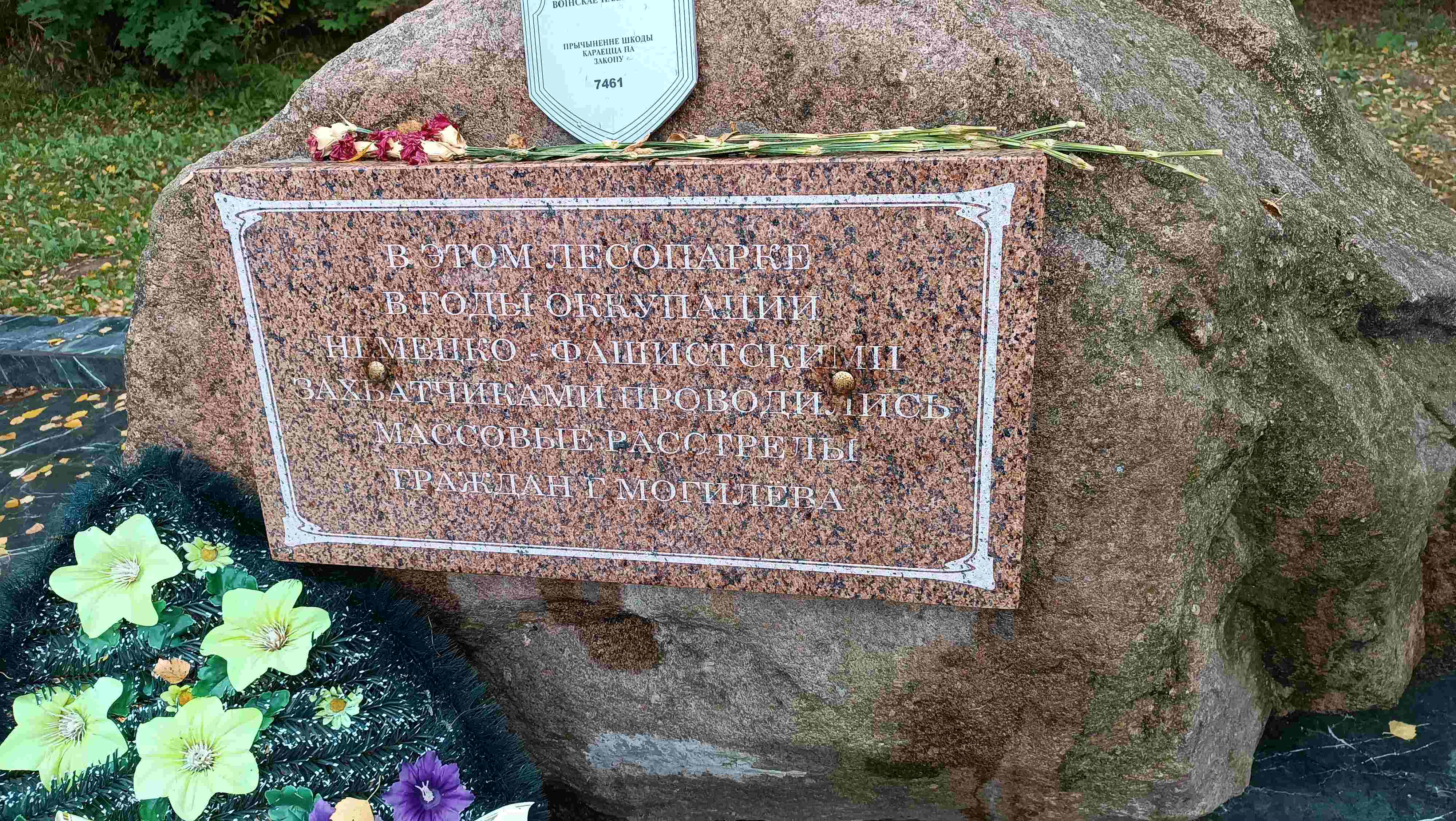 1727679613331.jpg