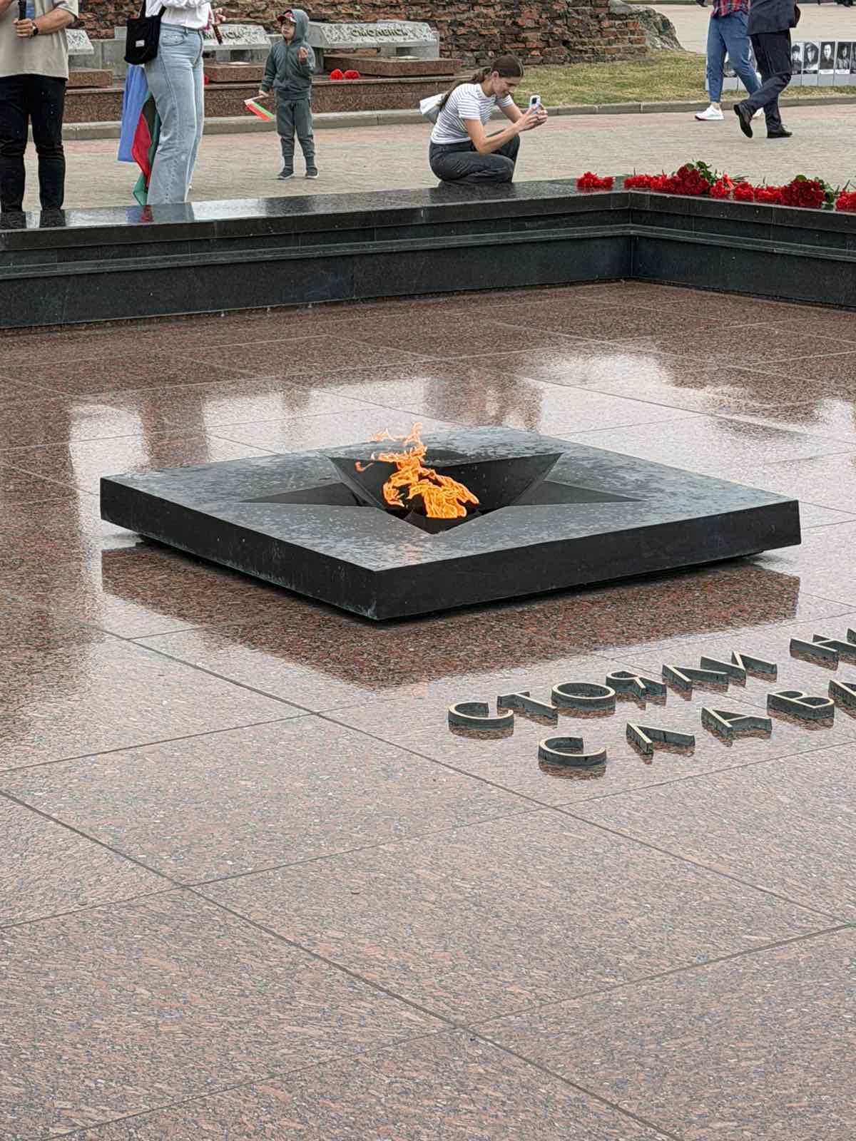 9390.jpg