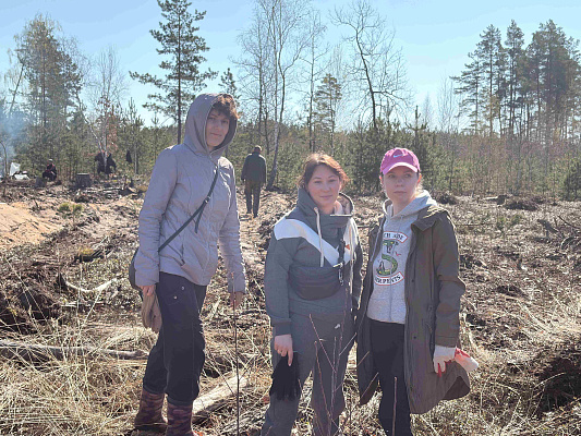 Работники ИМНС по Светлогорскому району присоединились к республиканской акции по восстановлению леса