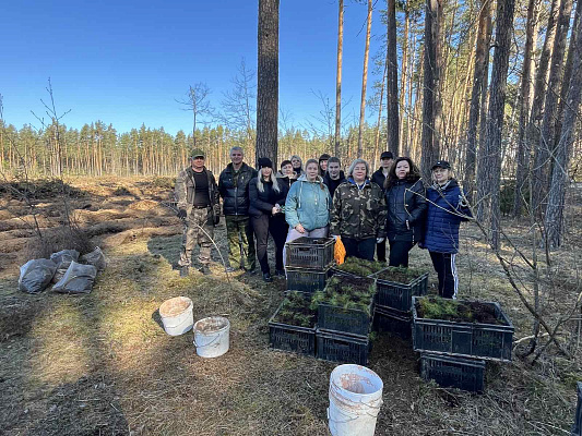 Налоговая инспекция Слуцкого района посадила 1,1 гектара леса в рамках республиканской акции